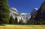 Comprehensive Exploration Tour to Yosemite & Giant Sequoias